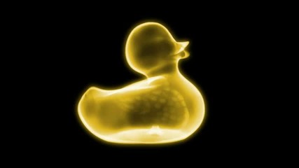 Senseless Symptoms - Duck Love