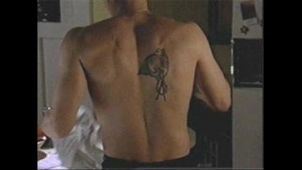 David Boreanaz