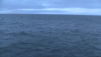 Откритие в Северния ледовит океан