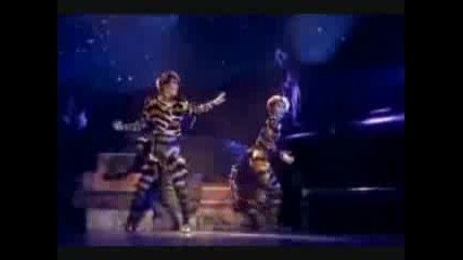 Nightwish - Moondance - Musical Cats