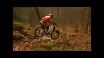 Breuil Project Dh