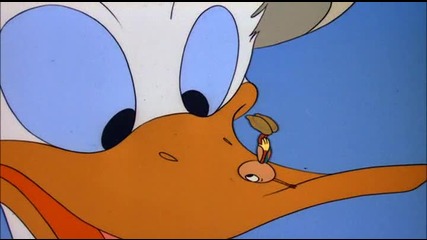 Donald Duck - Boohe Beehe 