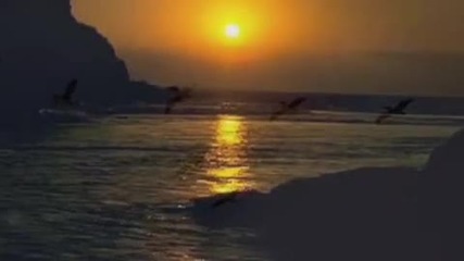 Omar Akram - A day with you