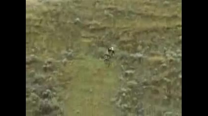 Freeride 