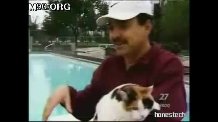 Котка плувец