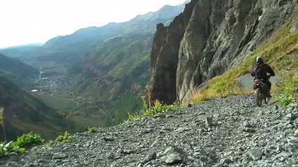 Черна мечка