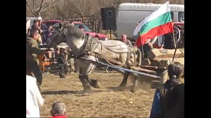 konq na evtim - maksimus v pirdop