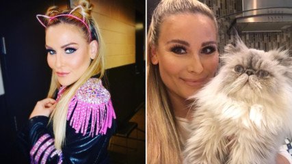 Is Natalya a cat lady? An investigation