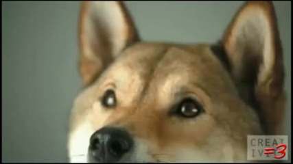 =3 by Ray William Johnson Ep 86: Crazy Bitches