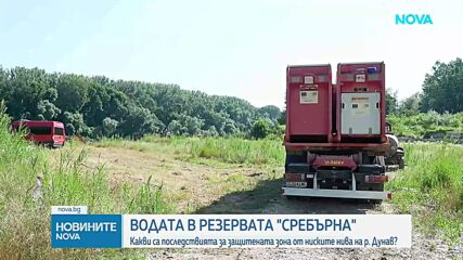 Ниското ниво на река Дунав застрашава екосистемите в резервата „Сребърна”