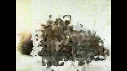 Koteta