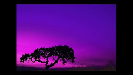 Purple Haze - Adrenaline