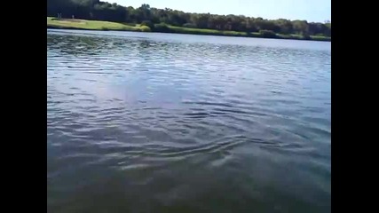 Акула в езеро на голф игрище!