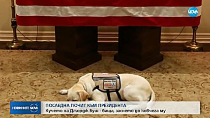 ТРОГАТЕЛНО: Кучето на Буш-старши лежи до ковчега му