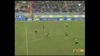 Fiorentina stagione 2006 - 2007