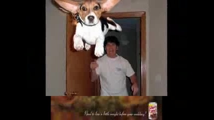 Смях