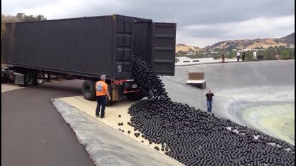 Черни топки, които подобряват качеството на водата