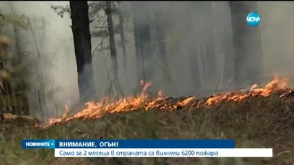 Само за два месеца в страната са вилнели 6200 пожара