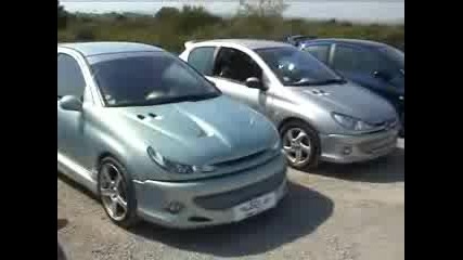 Peugeot 206 Silver