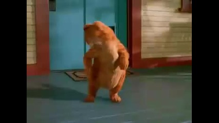 Garfield dancing now 2 - Youtube