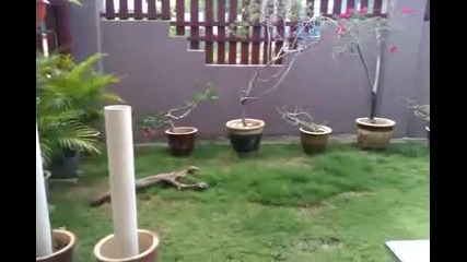 Видео тест със Htc Wildfire