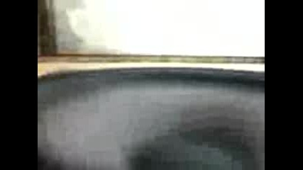 Bass1