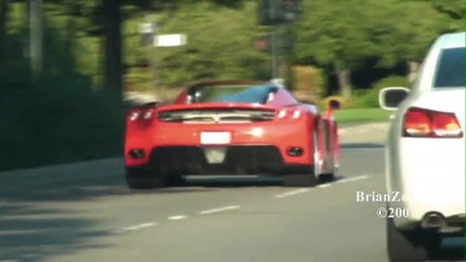 Ferrari Enzo