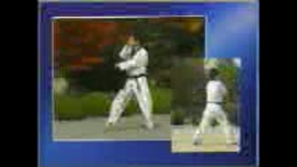 Wtf Taekwondo - Tae Bek (11 Poomse)