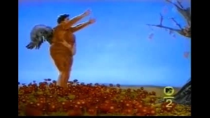 Nirvana - Heart-shaped Box