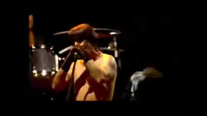 Red Hot Chili Peppers - Californication