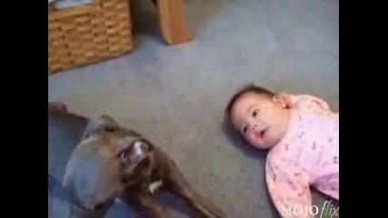 Куче имитира плача на бебе смях смях :) 