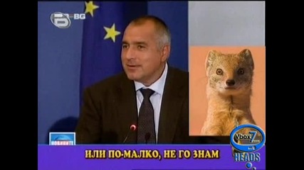 Бойко и Сергей - Господари на Ефира - 10.11.2009 - High Quality 
