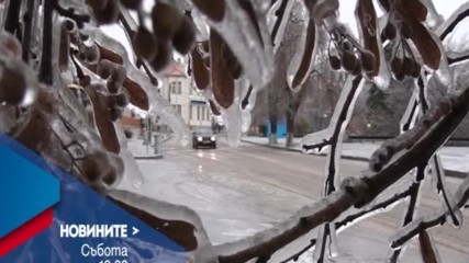 В Новините на NOVA от 12.00 ч. на 14 януари очаквайтe