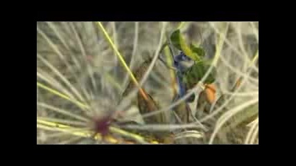 Funny Pixar Bugs Life Bloopers