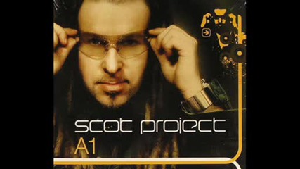 Scot Project - Tocs
