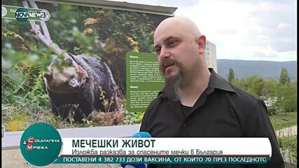 Фотоизложба представя живота на мечките в Белица