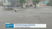 Жена спаси три малки щъркела след буря, съборила гнездото им край Петрич