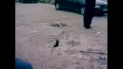 Видео000.3gp