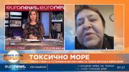 Доц. Валентина Дончева: Няма тревожни данни за водата в Черно море