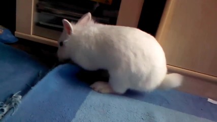 Vid_20120624_183958 - Copy