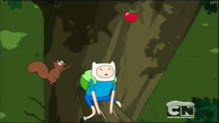 Време за приключения - Бг аудио С05 Е04 & Up a Tree / adventure time /