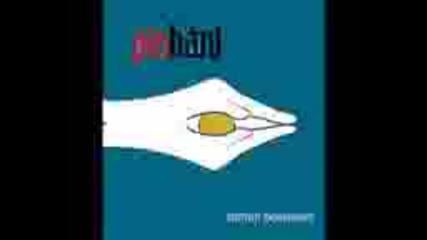 Pinhani - Ne guzel guldun