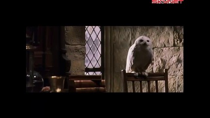 Хари Потър и Философският камък (2001) Бг Аудио ( Високо Качество ) Част 5 Филм 