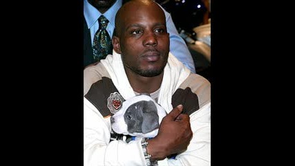 Dmx - Catz Dont Know Remix Timbaland Ll Cool J Apple Cobbler
