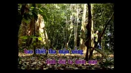 Ngoc Son - Van Trang Co Don