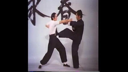 Wing Chun - The Science of Fighting (wong Shun Leung) - 4