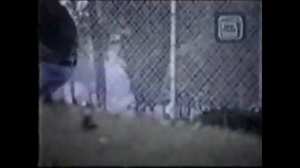 Ryan Sheckler vs Rodney Mullen