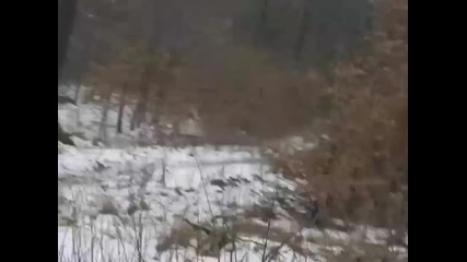Летящо момиче в руските гори