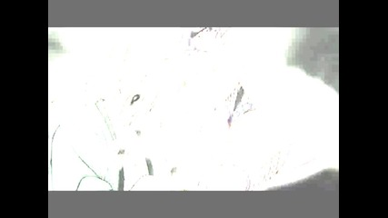 0min0us..(new_style)