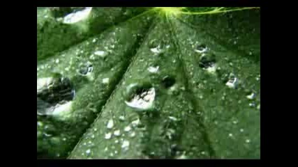 B-TRIBE(You wont see me cry)